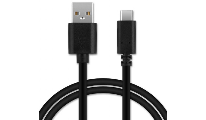 Ricoh kabelis I-USB173 (30275)