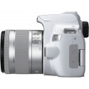 Canon EOS 250D Youtuber Kit, valge