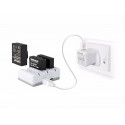 HÄHNEL TRIO CHARGER FOR GOPRO HERO 3&4