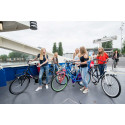 City bicycle for women SALUTONI Badges 28 inch 56 cm Shimano Nexus 3 speed