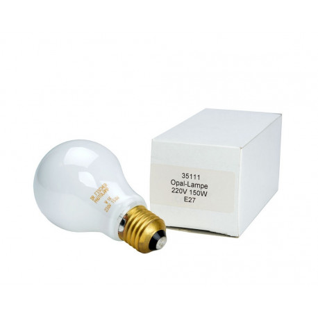 Paterson Enlarger Lamp 230v/75w