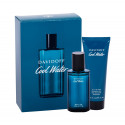 Davidoff Cool Water (40ml)