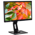 Monitor IIYAMA ProLite B2483HS-B3 (24"; TN; FullHD 1920x1080; DisplayPort, HDMI, VGA; black color)