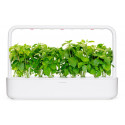 Click & Grow Smart Garden refill Kaneelbasiilik 3tk