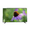 Television 43" 4K TVs, LED TVs Samsung UE43NU7092UXXH (4K 3840x2160; 1300 Hz; SmartTV; DVB-C, DVB-S2