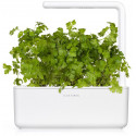 Click & Grow Smart Garden refill Plain Parsley 3pcs