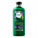 Revitalizing Shampoo Bio Brillo Pepino & Té Verde Herbal (400 ml)