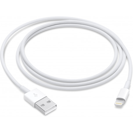 Apple cable Lightning 1m