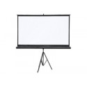 4WORLD 08445 4World Projection screen wi