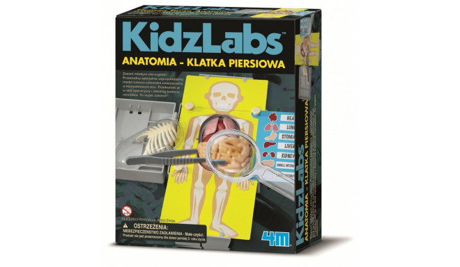4M arendav mänguasi Anatoomia