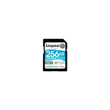 Карта памяти microsdxc uhs i u3 kingston canvas go plus 128 гб 170 мб с