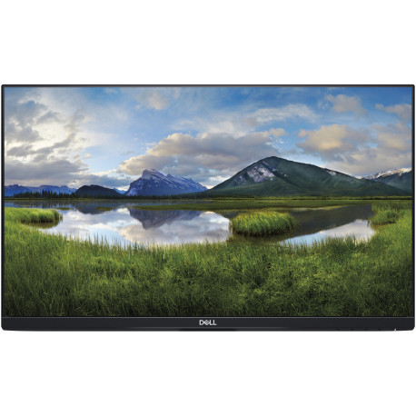 Dell monitor 23.8" LCD P2419H (w/o stand)