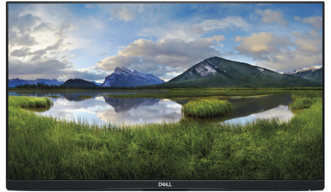 Dell монитор 23.8" LCD P2419H (без подставки)