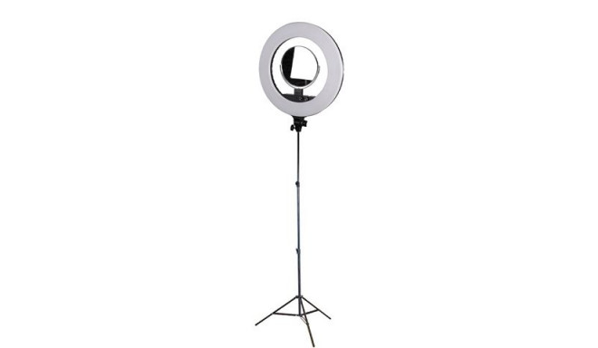 StudioKing video ring light LED-480ASK