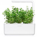 Click & Grow Smart Garden refill Mountain Savory 3pcs