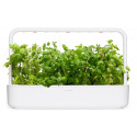 Click & Grow Smart Garden refill Apple Mint 3pcs