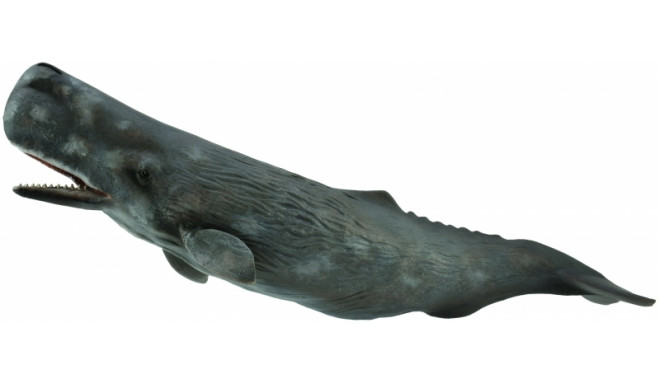COLLECTA Sperm whale, 88835