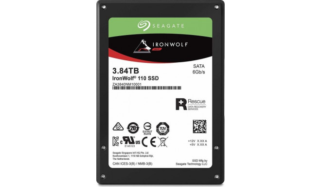 Seagate Ironwolf SSD 110 3.84 TB, Solid State Drive (black, SATA 6 GB / s, 2.5 ")