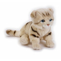 Dante Scottish cat plush toy National Geographic