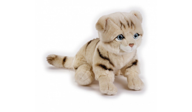 Dante Scottish cat plush toy National Geographic