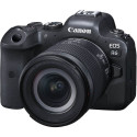 Canon EOS R6 + RF 24-105mm STM Kit