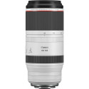 Canon RF 100-500mm f/4.5-7.1L IS USM lens