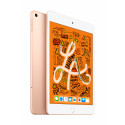 iPad Mini Wi-Fi + Cellular 256GB Gold 5th Gen