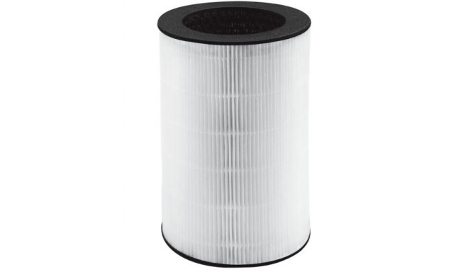 Homedics AP-T40FLR HEPA-Filter