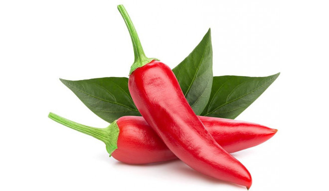 Click & Grow Smart Garden refill Chili Pepper 3pcs