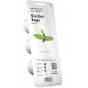 Click & Grow Smart Garden refill Sage 3pcs