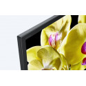 KD49XG8096BAEP SONY