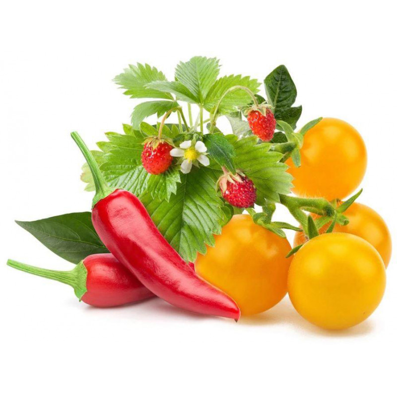 Click & Grow Plant Pod Fruit & Veggie Mix 9tk