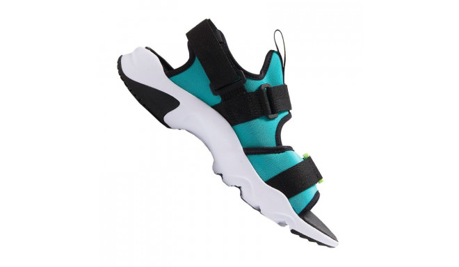 Meeste sandaalid Nike Canyon M CI8797-300