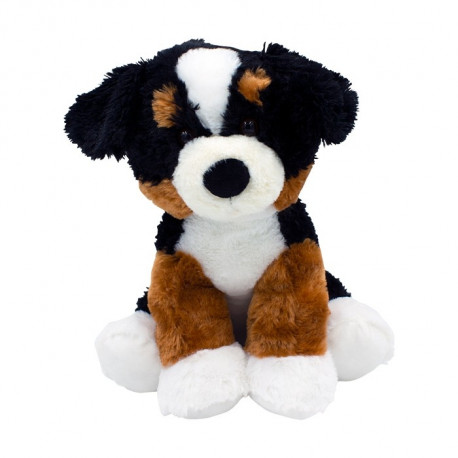 Axiom Rafal dog black and white 40 cm