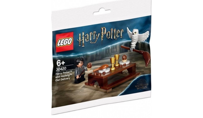 Bricks Harry Potter and Hedwig Owl delivery