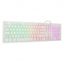 Keyboard and Mouse NGS Sprite Kit