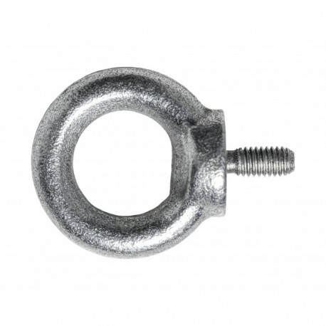 Aaspolt M12 Zn DIN 580