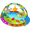 Activity play mat - garden with mirror and toys