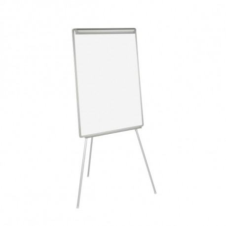 Esitlustahvel BI-OFFICE EARTH 70x100mm