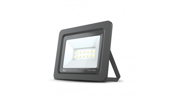 Floodlight LED PROXIM II 10W |6000K| IP66 Forever Light