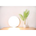 Xiaomi ceiling lamp Mi Smart LED 450mm