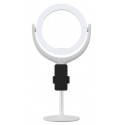 Devia Live Streaming Держатель для телефона со светодиодной лампой 8 дюймов 40 см белый