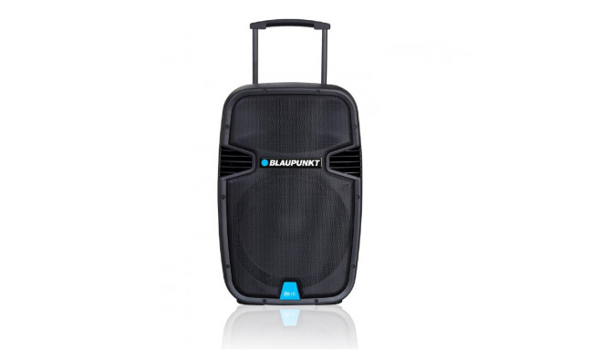 Blaupunkt Profesional System Audio PA15