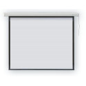 Screen electric projector 2x3 PROFI EEP2424R (ceiling, wall; electrically expandable; 240 x 240 cm; 