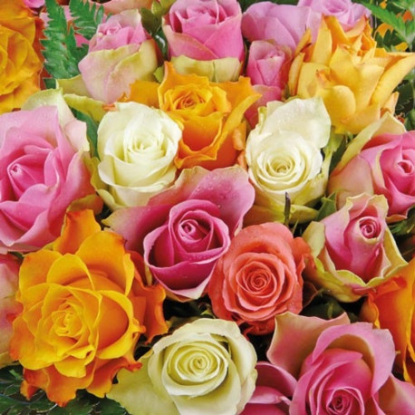 Ambiente napkins Colorful Roses