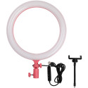 LR120 LED Ring Light Pink