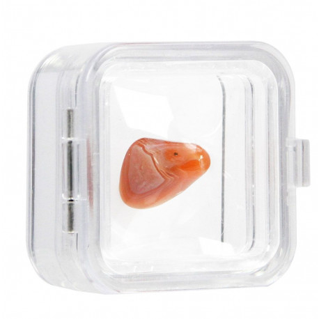 SAFE 3D esitluskarp - MINI