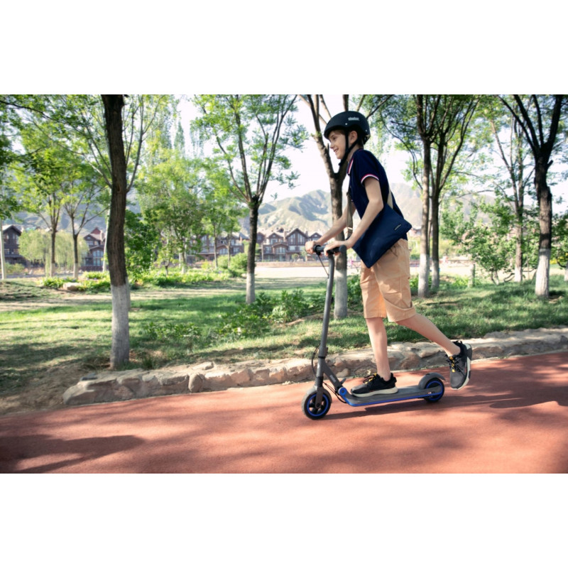 Segway Ninebot eKickScooter ZING E10, black Electric scooters