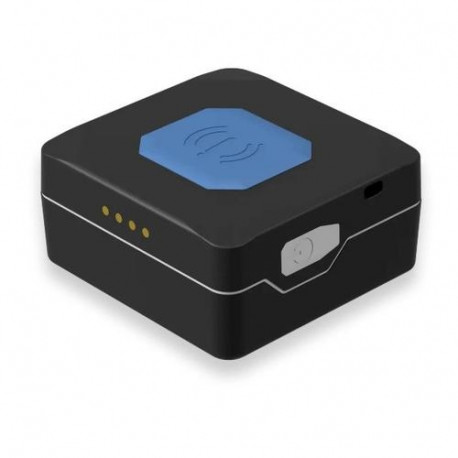 Teltonika TMT250 GPS tracker Personal 0.128 GB Black
