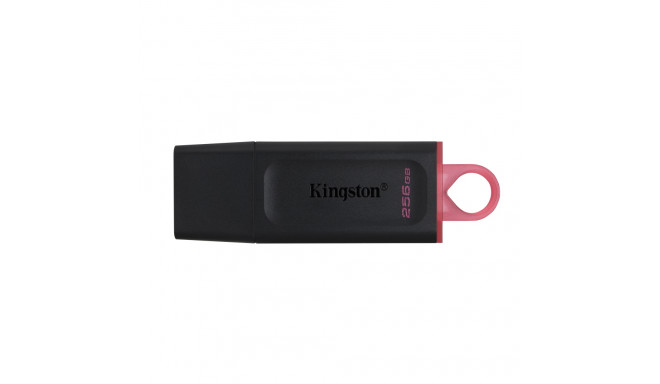 Kingston mälupulk 256GB Exodia USB 3.2 DT